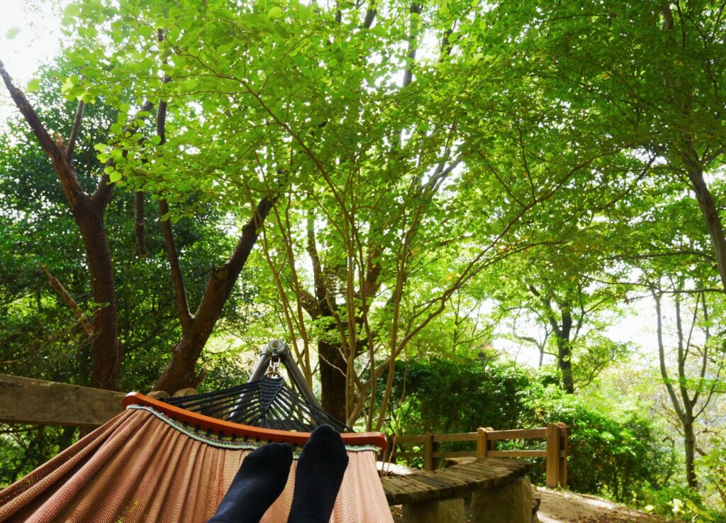 神戸布引ハーブ園内に設置されたハンモックに寝そべって眺める景色