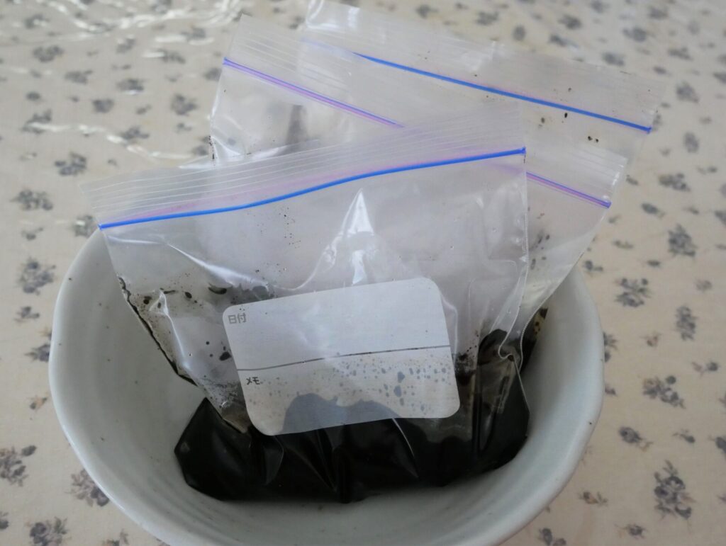 イカ墨ソースの冷凍保存の仕方